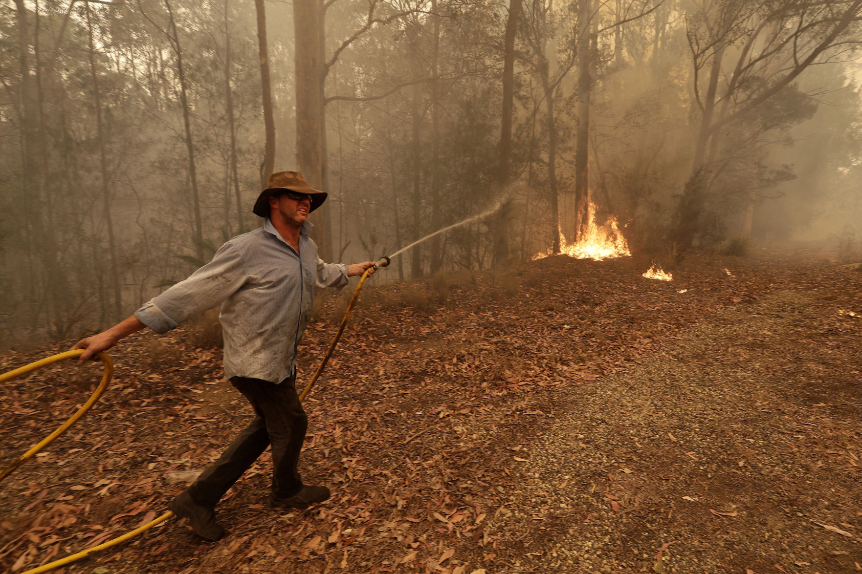 Australia wildfires